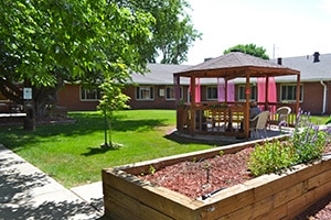 Amberwood courtyard and garden area